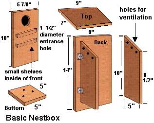 bird houses - nest boxes