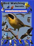 birdwatching book